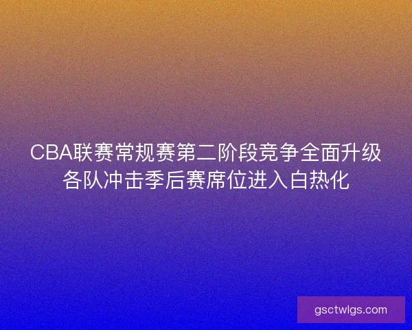 CBA联赛常规赛第二阶段竞争全面升级各队冲击季后赛席位进入白热化